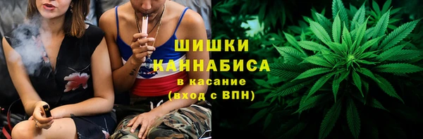 бошки Алексин