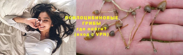 круглые Алзамай