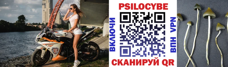 что такое наркотик Павлово нарко площадка клад Галлюциногенные грибы прущие грибы mega
