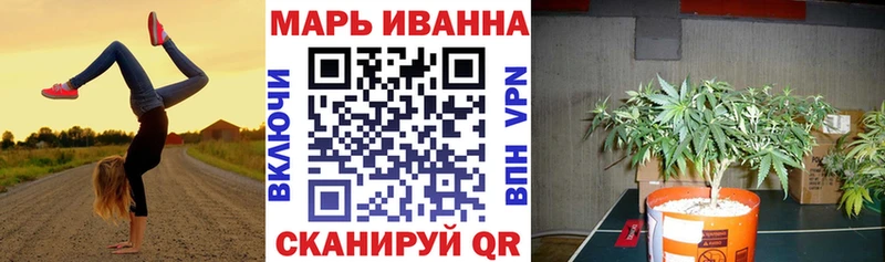 OMG   Павлово  Конопля Amnesia 